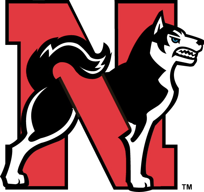 Northeastern Huskies 2001-2006 Alternate Logo v2 diy fabric transfer
